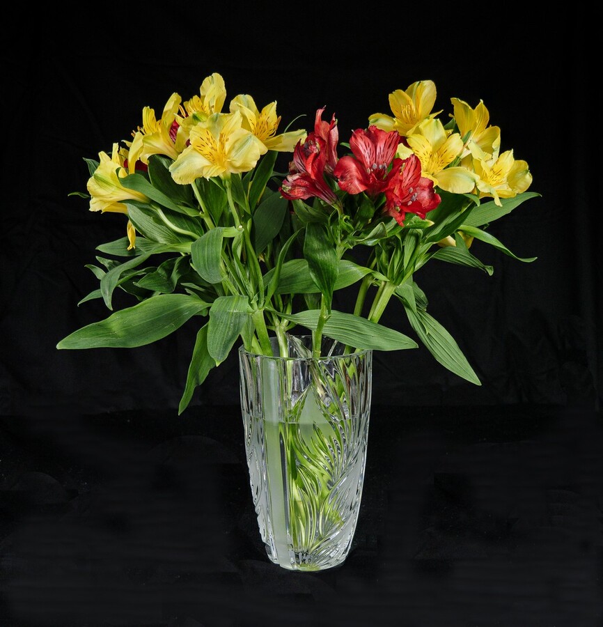 A is for Alstroemeria